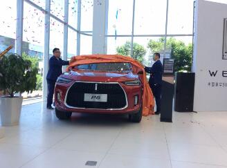 现在，即WEY来——中国插电混动豪华SUV,WEY P8新疆区上市发布会